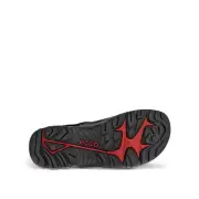 Herre Sandaler - ECCO - ECCO Offroad Andes II Ltd 822044-12038