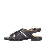 Dame Sandaler - BILLI BI - Billi bi A8502-80